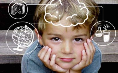 NEUROCIENCIA PARA PROFESORES
