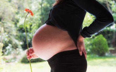 Embarazo, Parto, Postparto y Maternidad